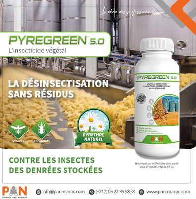 PYREGREEN 5.0 - La désinsectisation sans résidus