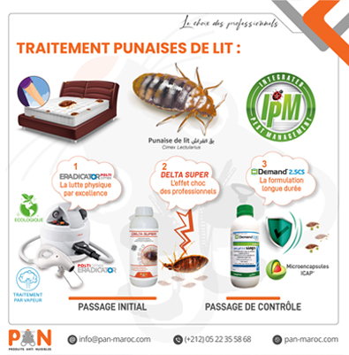 Traitement punaises de lit