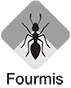 Fourmis