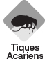 Tiques acariens