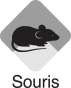 Souris