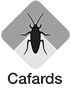 Cafards