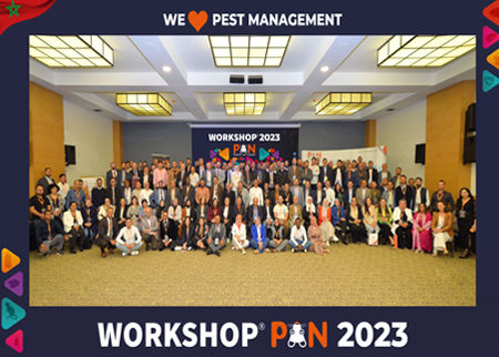 WORKSHOP PAN 2023