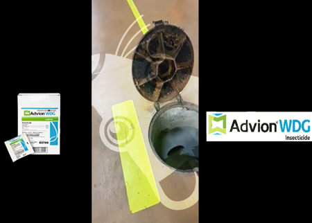 Retour traitement ADVION WDG - 1er insecticide liquide BIO-ACTIF