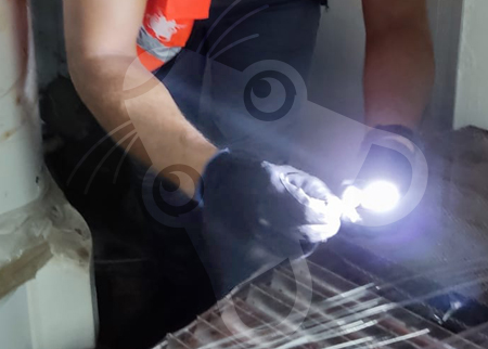 Accompagnement terrain