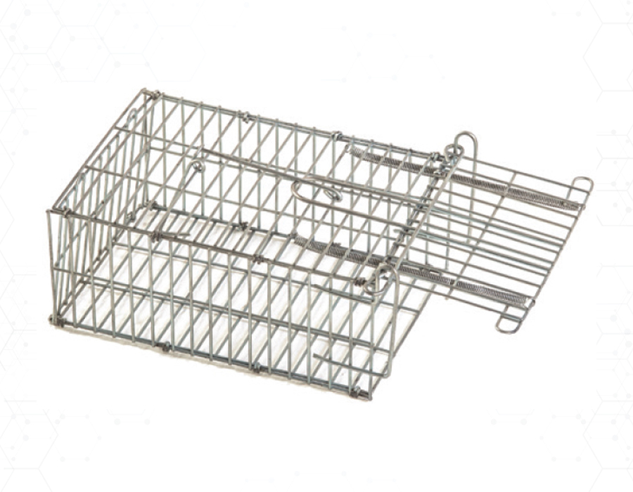 CAGE DE CAPTURE POUR RATS