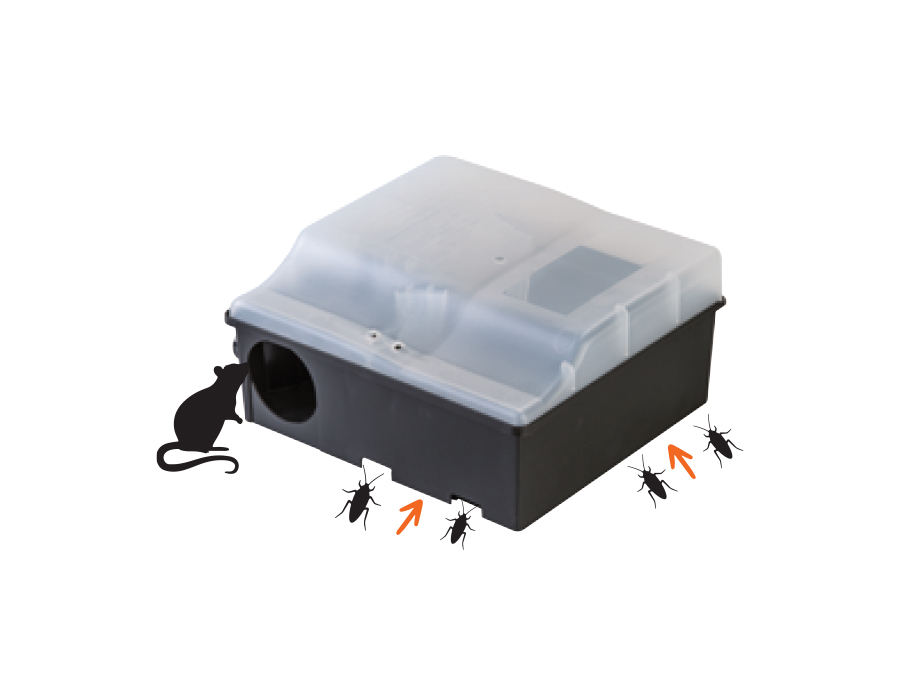 FUSION BOX TRANSPARENT